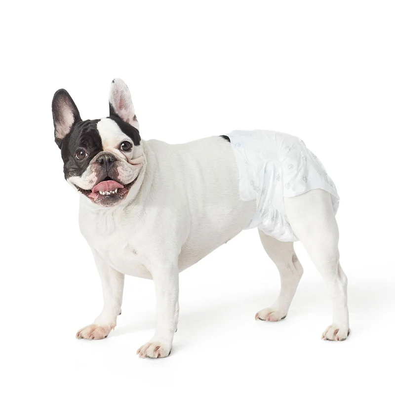 Disposable Dog pets training Pads female dog diapers