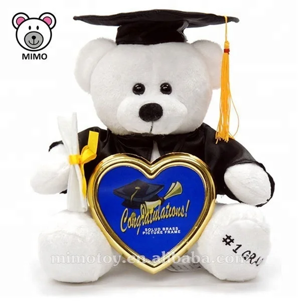 Reusable Kids Washable Painting Drawing DIY Toys Cute OEM Custom Stuffed Animal Soft Plush Toy White Graduation Teddy Bear
