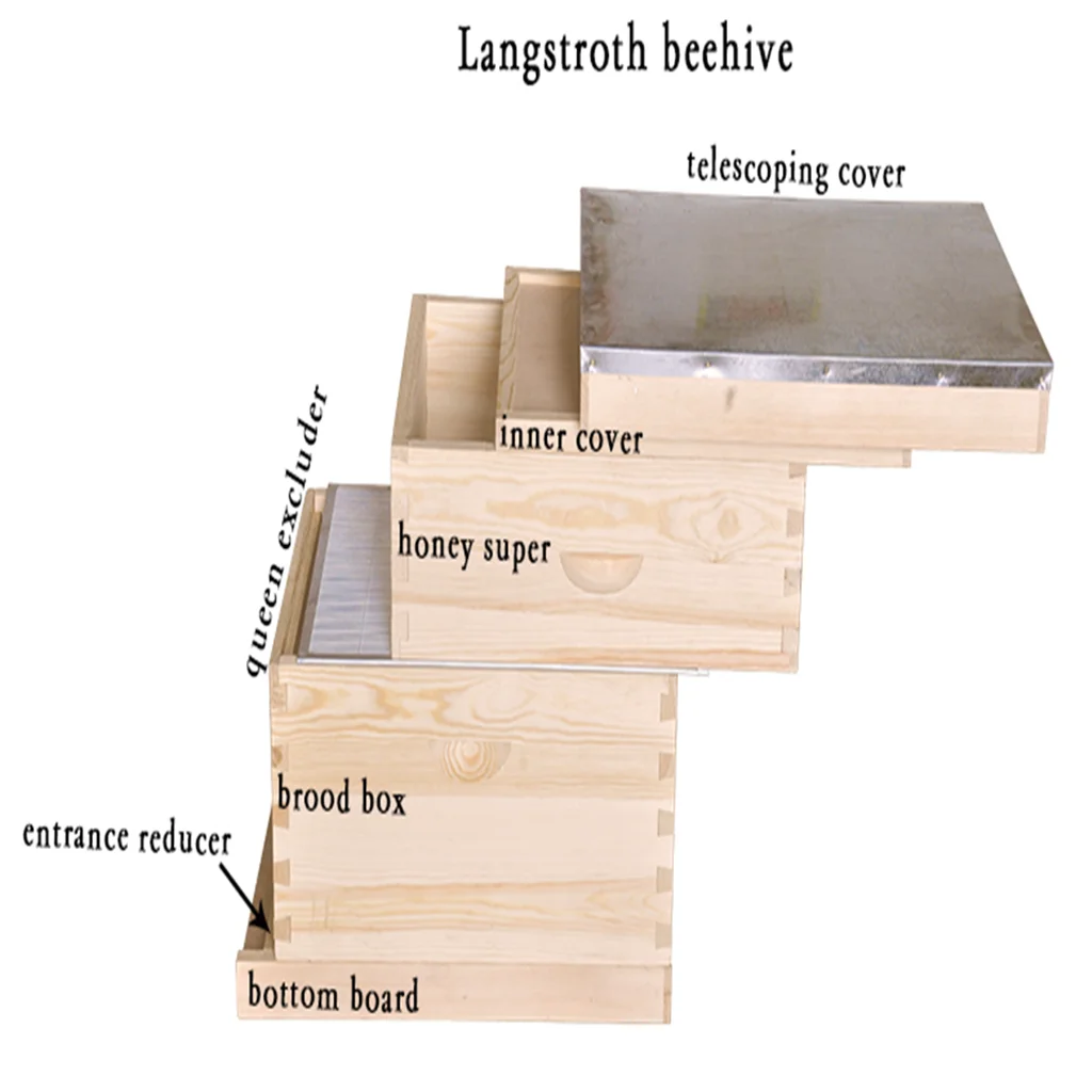 
Hot sale apiculture equipment beehive langstroth bee hives with 2Layer for apicultura 