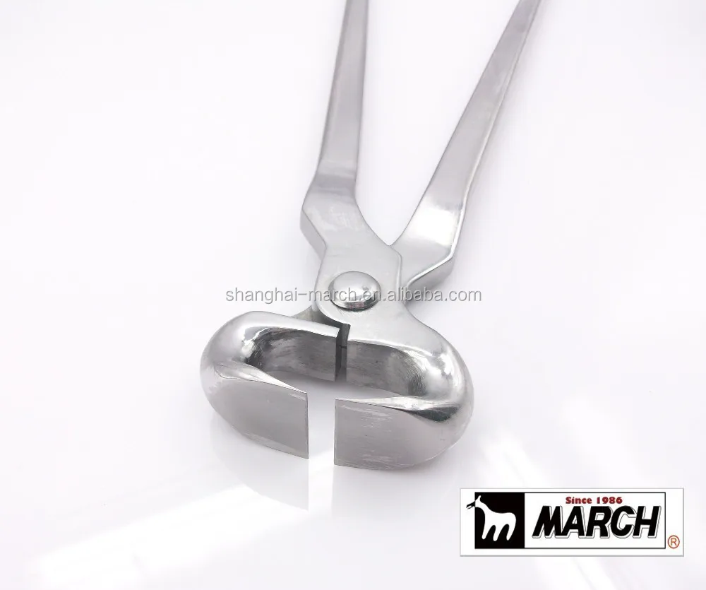 March Farrier tools high Quality factory price