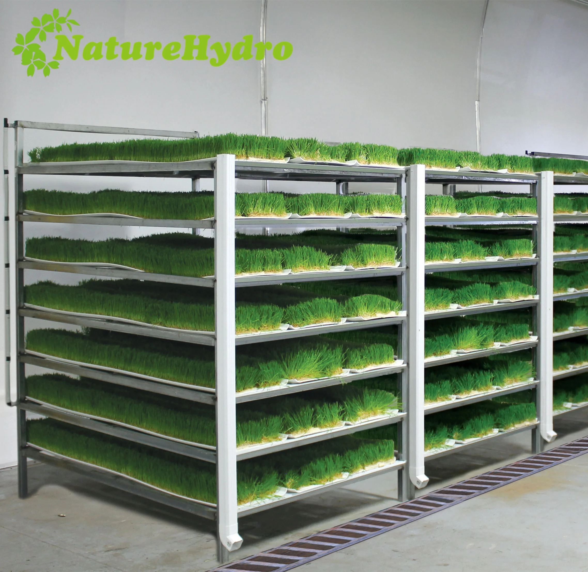 Hydroponic industrial fodder container system for farm animal