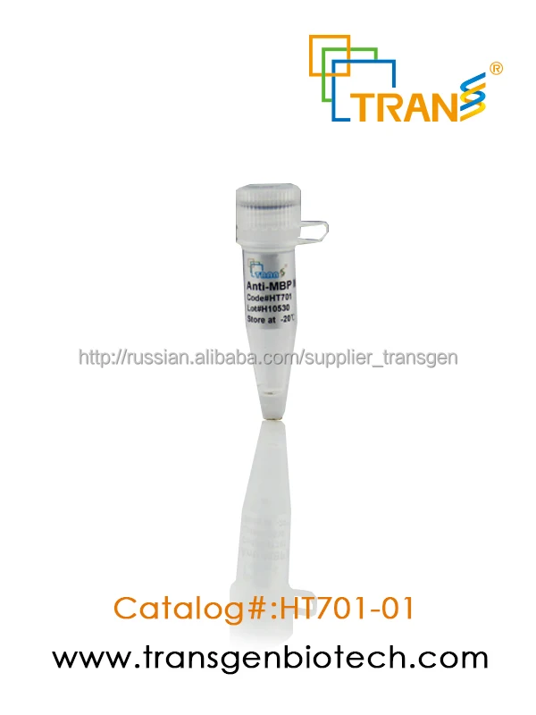 Proteinfind анти- mbp мыши моноклональных антител