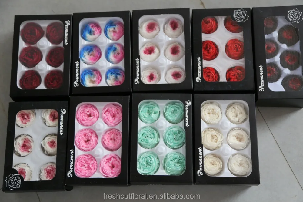 Promotion preserved austin roses stabilized austin rose at discount