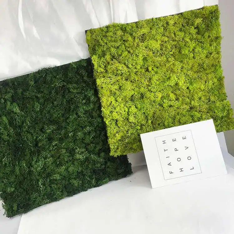 Wholesale decorative moss best quality preserved moss mat for festival wall