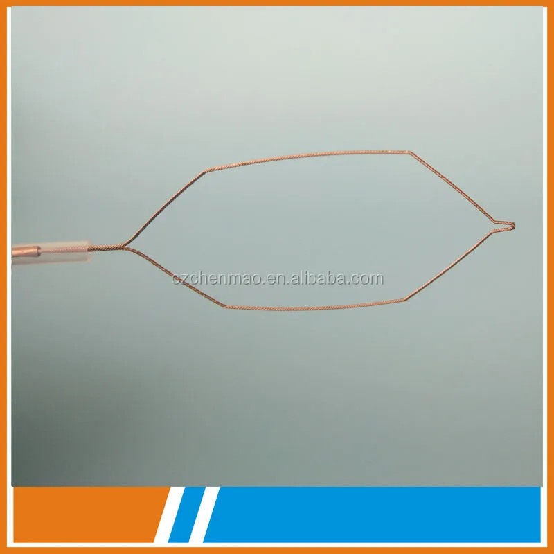 Surgical Disposable polypectomy snare for endoscope