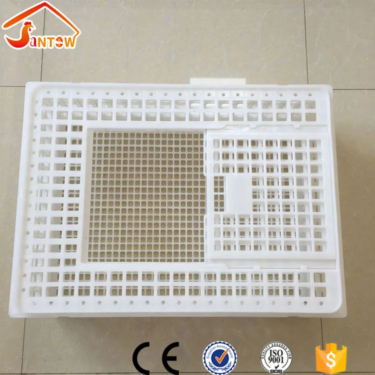 
Durable plastic chicken duck quail birds pigeon broiler poultry transportation cages for sale 
