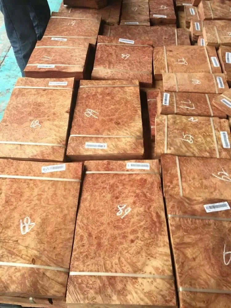 Natural wood veneer red camphor burl veneer