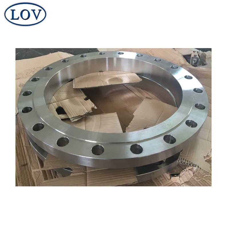 DIN 2577 Forged Stainless Steel Pipe Plate Flat Flange