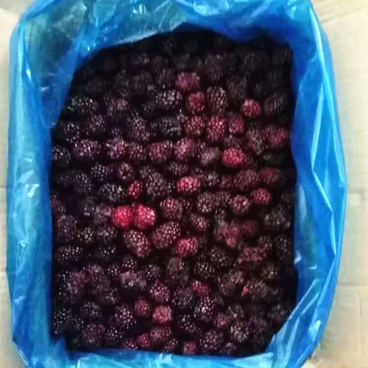 
Blackberry Frozen Fruit/IQF 