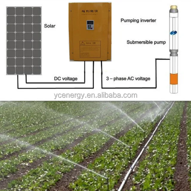 Competitive Price Solar Water Pump System With Submersible Tube Well Water Pump For Agriculture