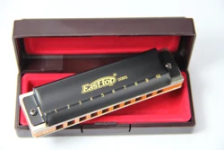 10 hole professional blues harmonica for player,beginner T008S