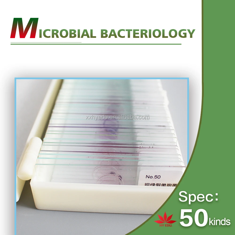 50 kinds kit fungi and bacteria Microorganism cells prepared microscope microbiology slides for biology education