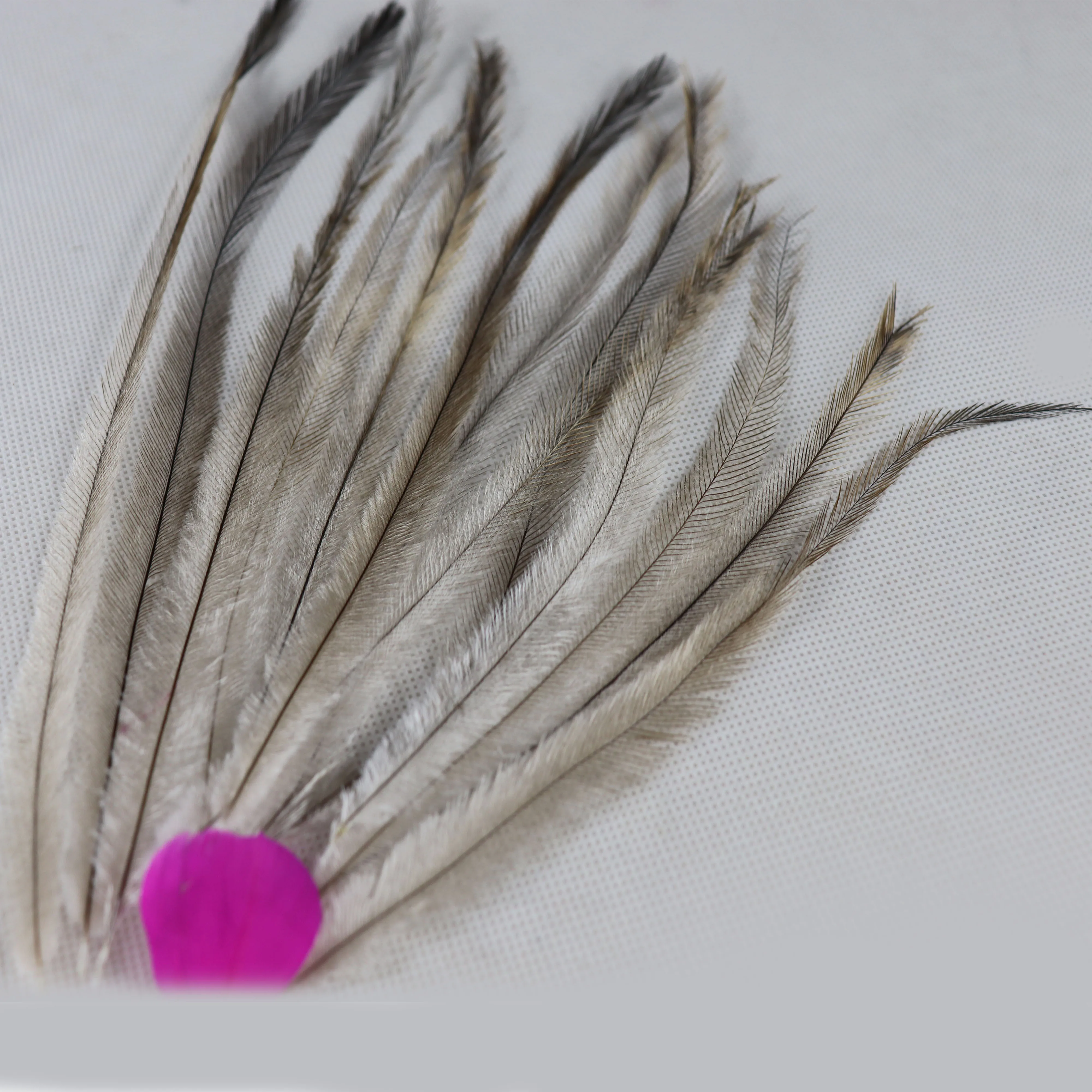 emu feathers for Feather Extensions