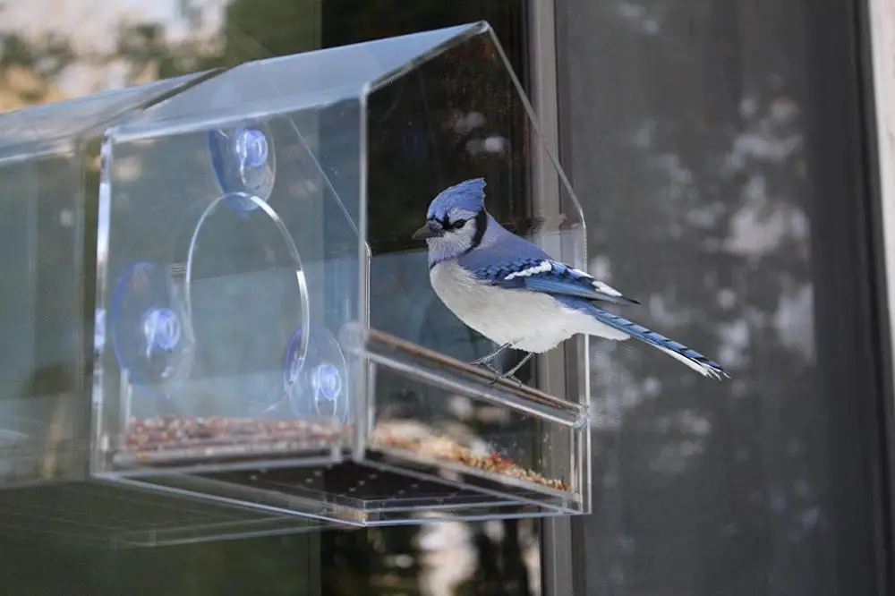 with suction cups holder shaped house acrylic window bird feeder