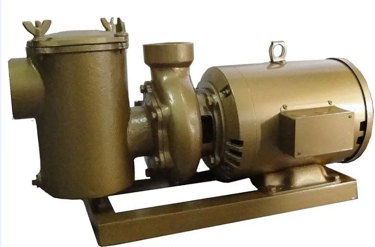 High quality Pool Products for Pool Spa Water Circulation Swimming Pool Cooper Pump