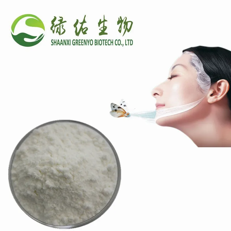 
High Purity Cosmetics Silk Sericin Powder 
