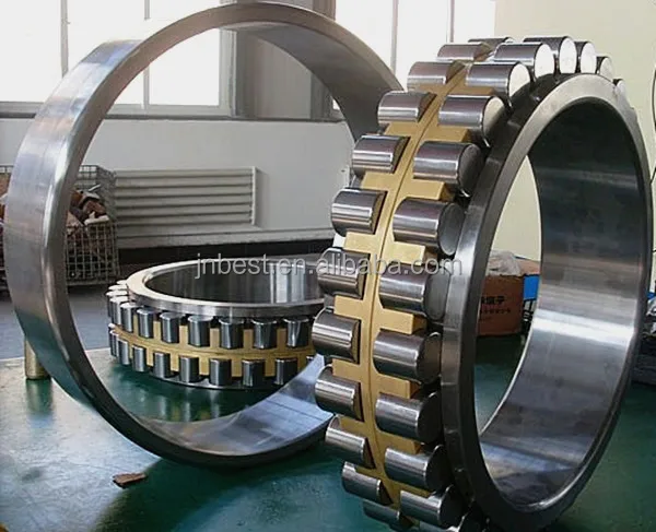 Double-Row-Full-Complement-Cylindrical-Roller-Bearing_