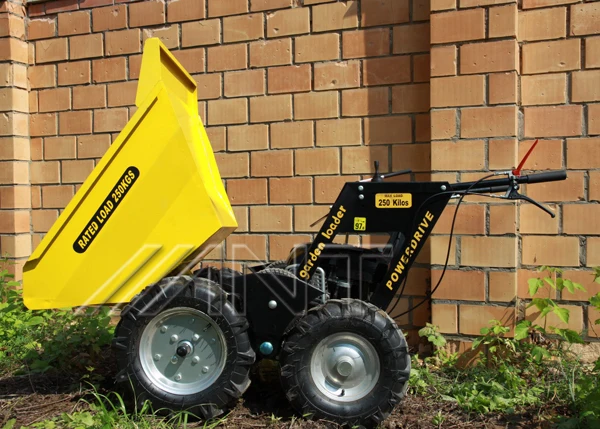 Mini farm tractor Wheel loader with CE and EPA ANT BY250
