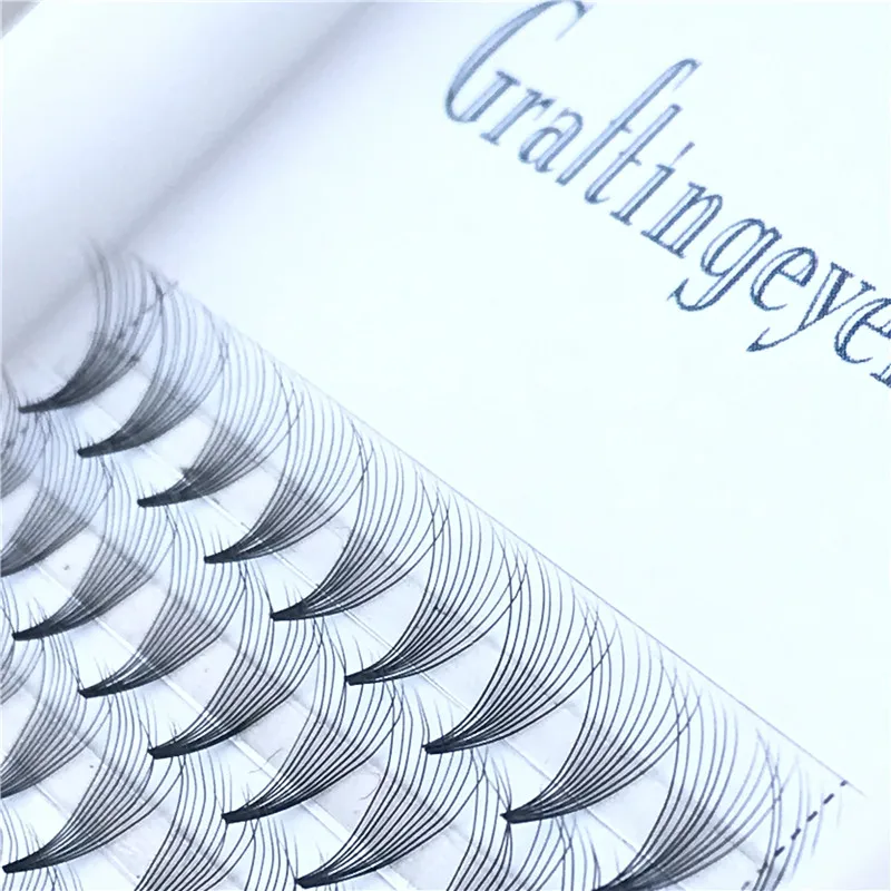 
Premade Eyelash Extension private label 3d 5d 6d 10d silk volume lashes fans 