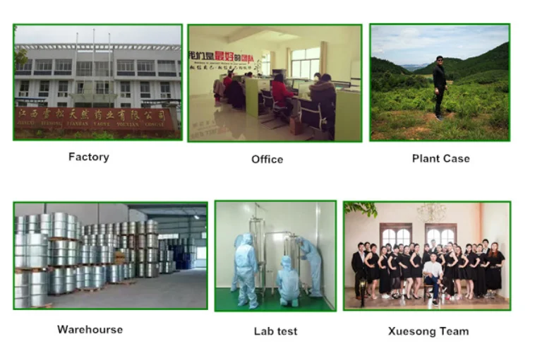 Rice Bran Oil, Cold Pressed Rice Bran Oil on Sale Cosmetic Liquid Pure Essential Oil Yellow Top Grade ODM Service,moisturizer