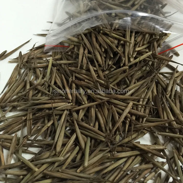 2021 новые семена бамбука Moso для выращивания