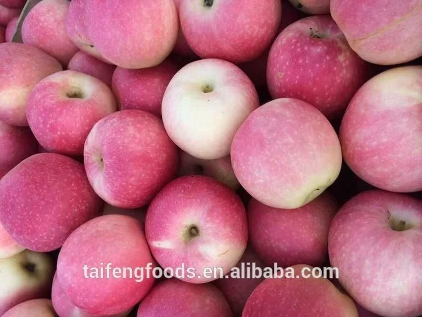 20kg carton Gala Apple