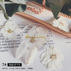 Manicure Ultra-thin Natural Dried Flowers Japanese Summer Cherry Blossom Dry Flowers For Nail Art
