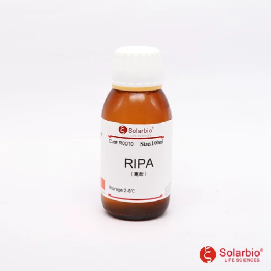 RIPA Lysis buffer(high efficiency ) for tissue and cell (with PMSF)