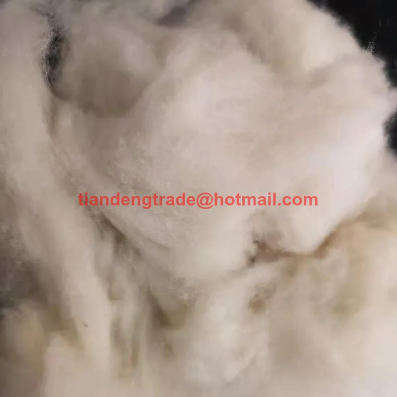 Оптовая продажа с фабрики овец 100% чистая шерсть волокнистом материале для Вязание длина 26-34 мм и тонкость 16,5-19.8mic