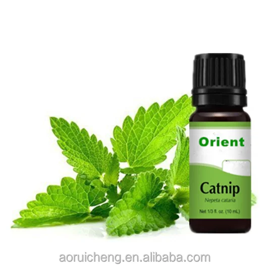 catmint oil, nepeta cataria,catnip oil