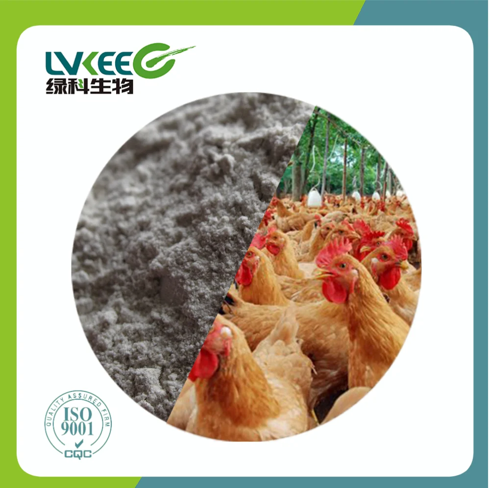 Promote Nutrition Efficacy and Feed Additive Probiotics 50 bilion cfu/g Bacillus Cereus Powder for aquaculture