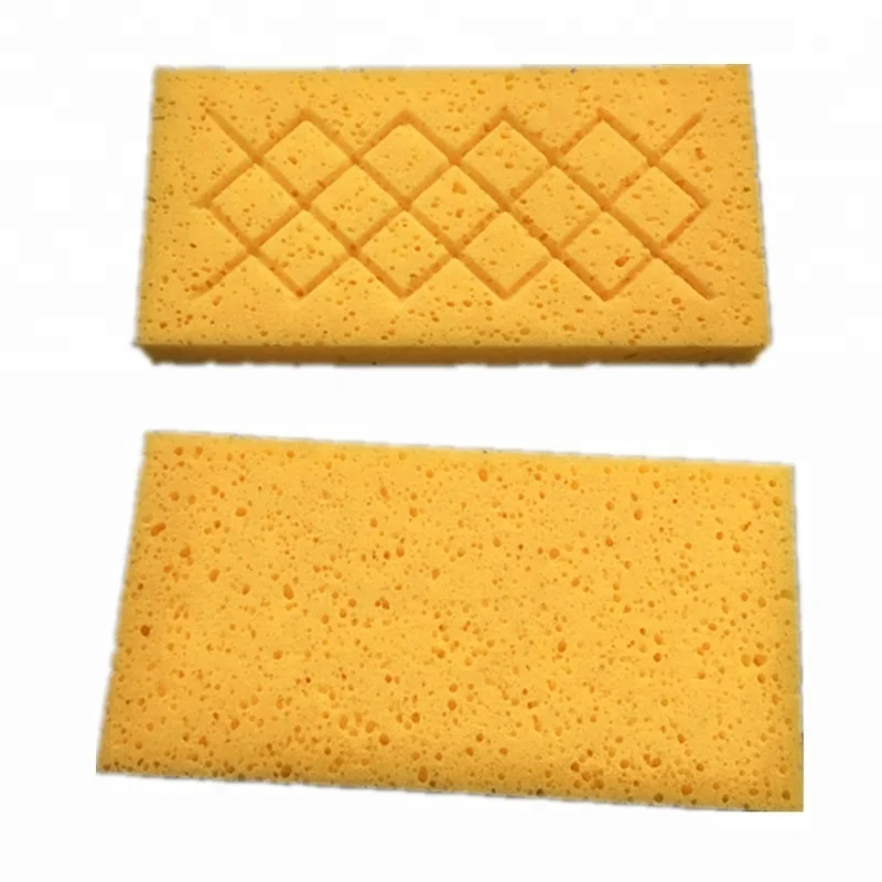 Губка для очистки водорослей 8