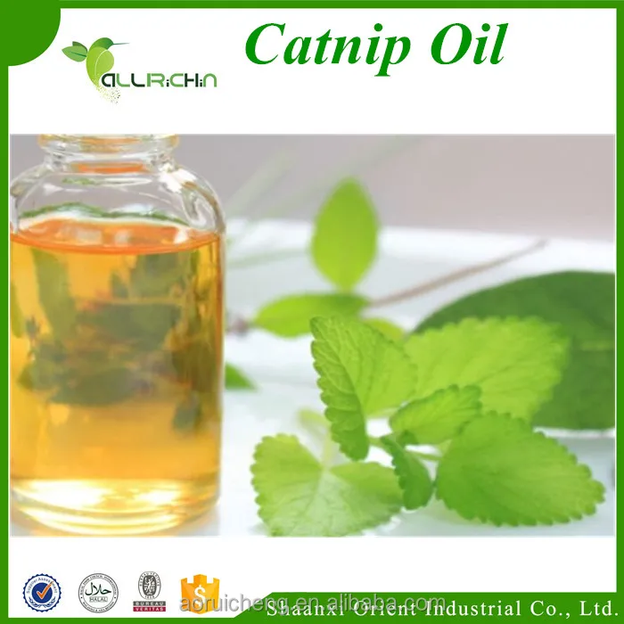 catmint oil, nepeta cataria,catnip oil