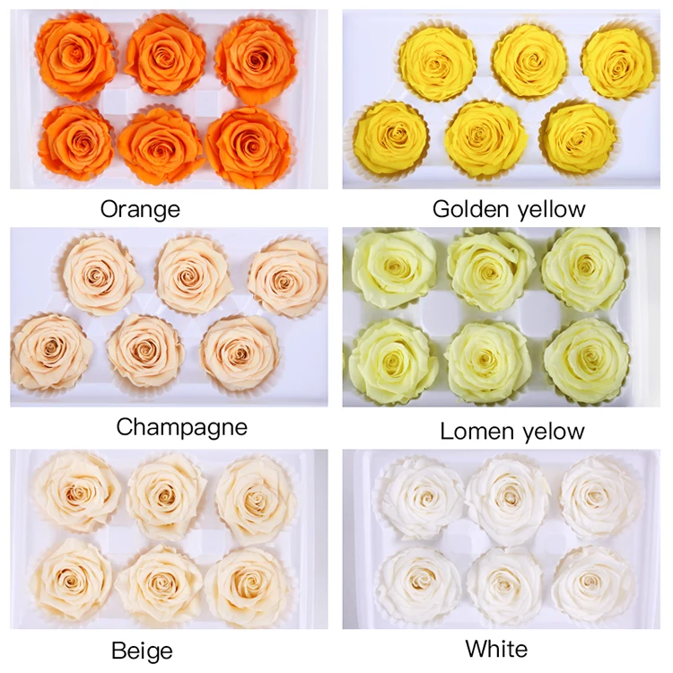 
Best Quality Real Eternal Forever Preserved Rose Head For Festival Decoration 