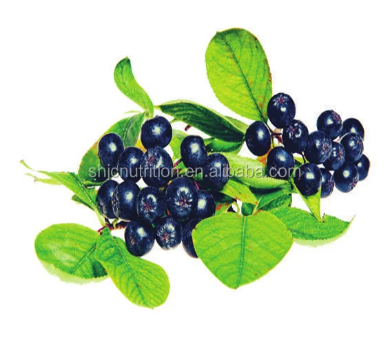 
100% Bio Aronia berry extract Powder with 25% Anthocyanin, Aronia extract, aronia powder 
