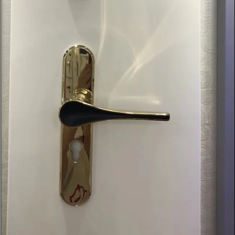
Hot selling high quality zinc alloy material door usage handle Wooden door key narrow handle lock plate 