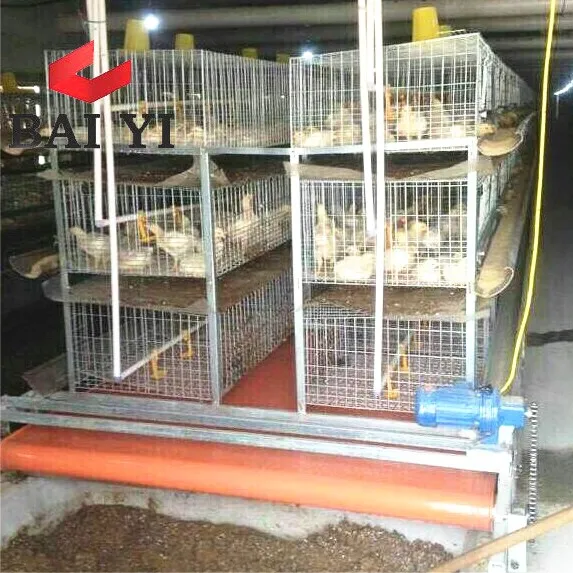 H Type 3 Tier 48 Birds Capacity Cage For Growing Broiler