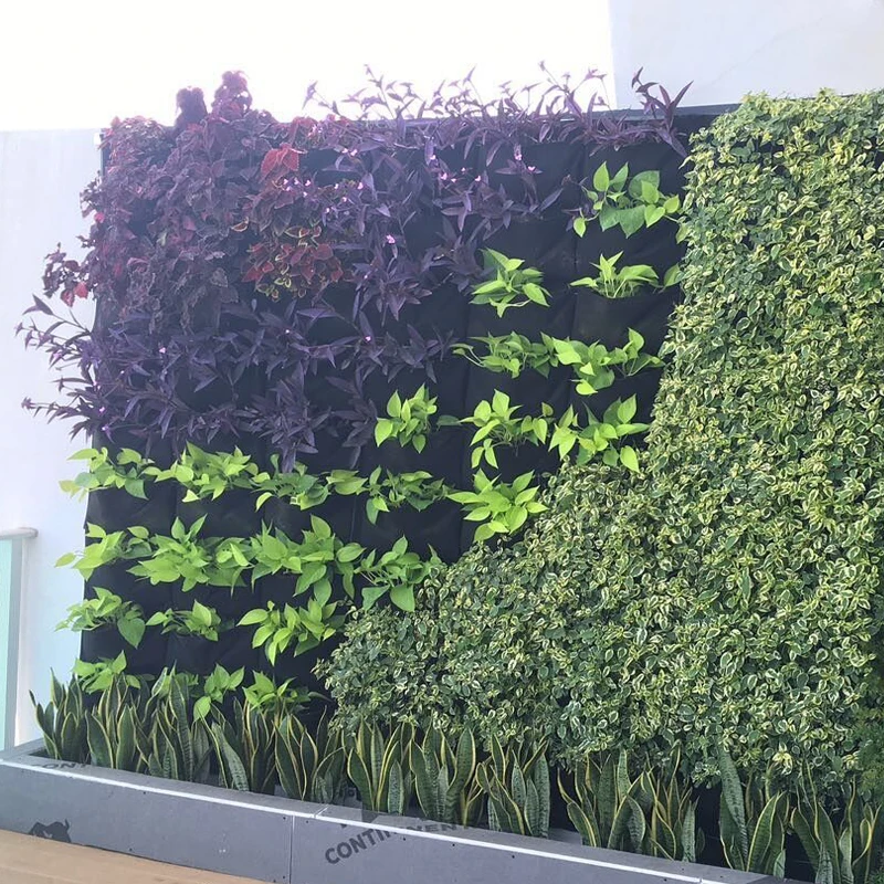 
Green wall self watering vertical garden with drip irrigation system 