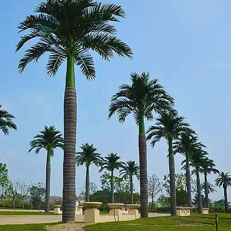 Outdoor waterproof long live imitative fake coconut tree artificial tree, Phomix Palm landscape trees