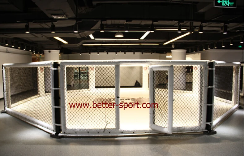 mma octagon