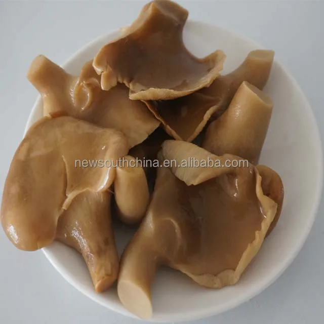 Best Canned Abalone mushroom in brine price 425g