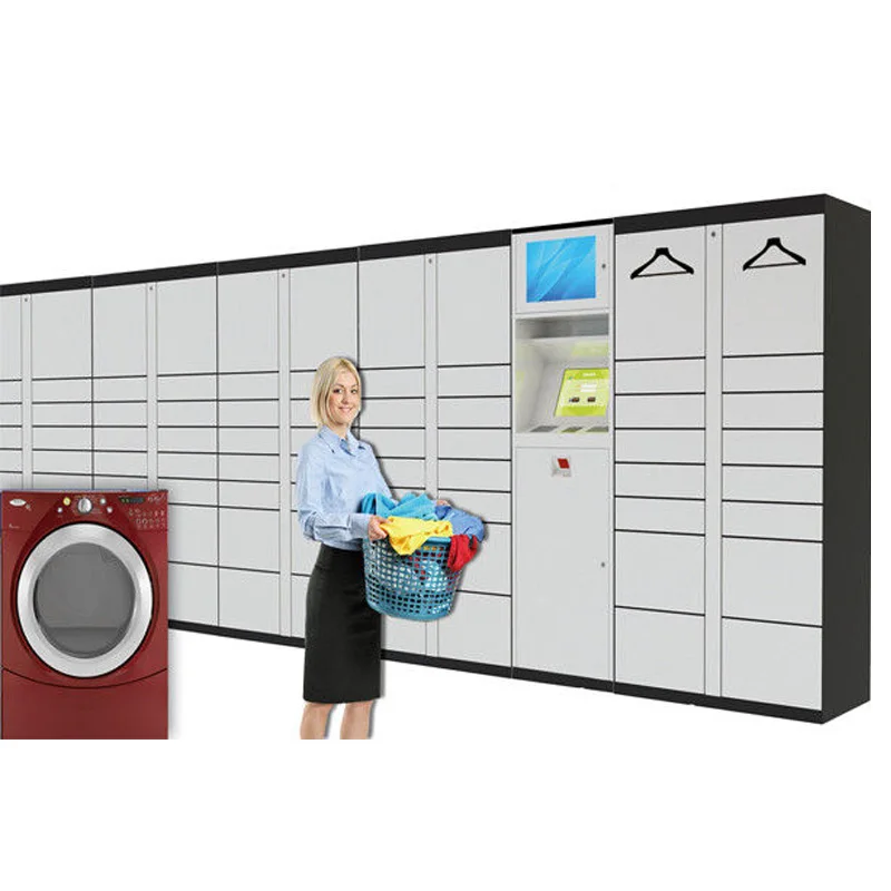 Прямая продажа с фабрики, Интеллектуальный регистратор посылок и шкафчик для белья