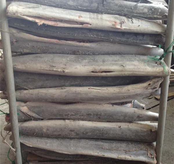 Frozen sailfish HGT blue marlin seafrozen