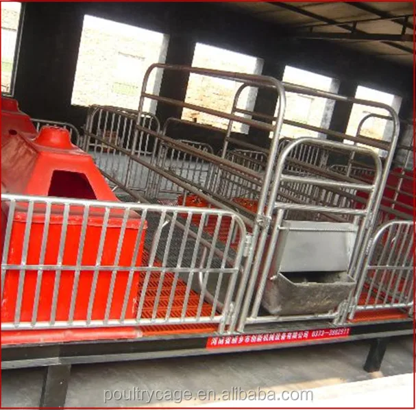 Wholesale Pig Feeding Equipment/Farrowing Crate For Sale