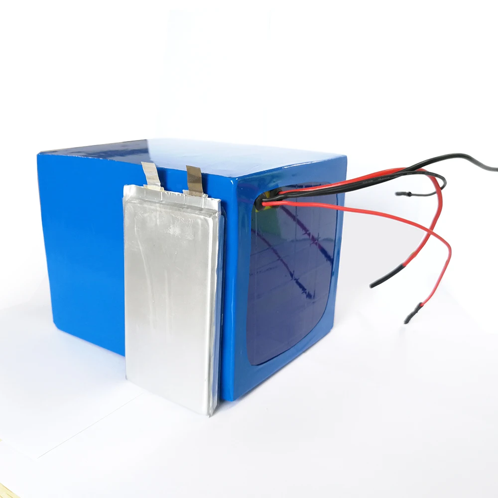 
Electric Bike Battery Rechargeable Lifepo4 48V 25Ah for Tricycle Scooter batteyr with BMS Charger 