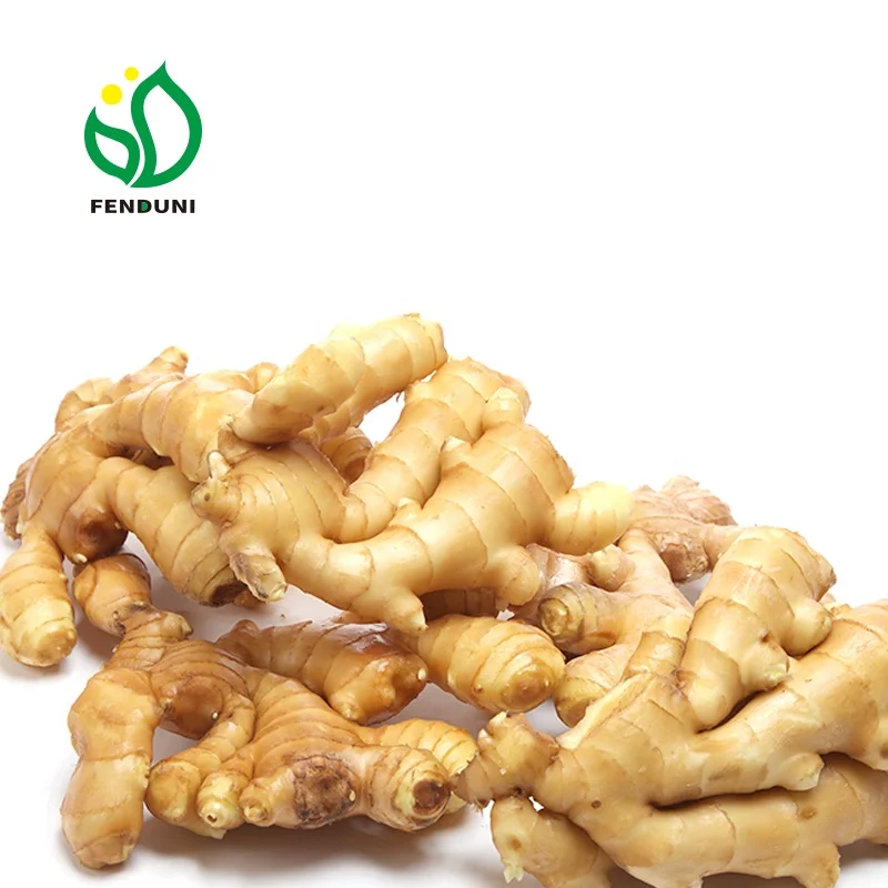
Fresh Ginger Seller in China- Lowest Price with Good Quality 