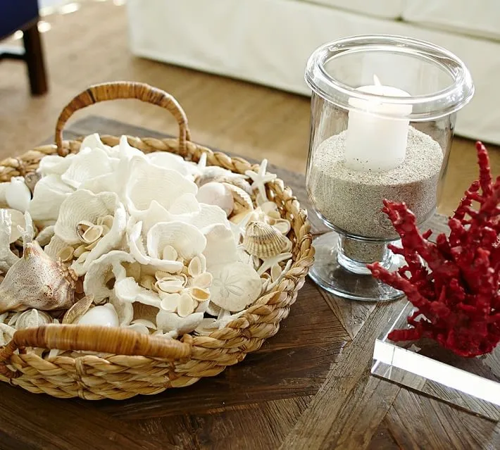 Wholesale Sea Shell For Home Decoration