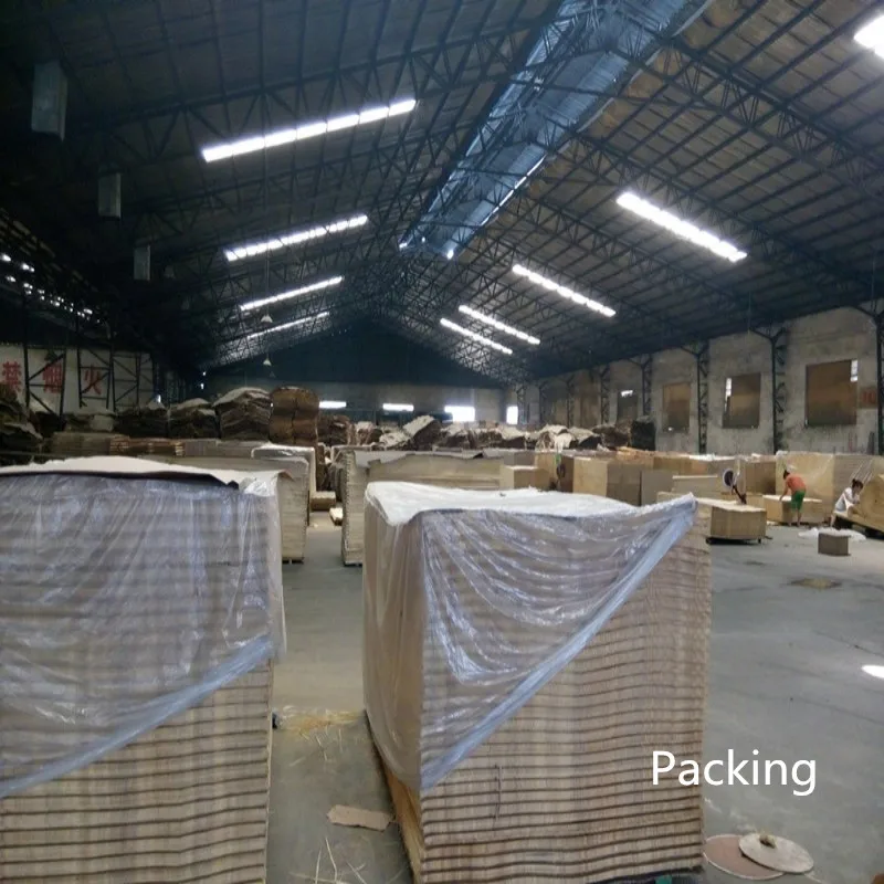 
Glossy Waterproof Surface Vietnam Plastic Plywood Sheet 