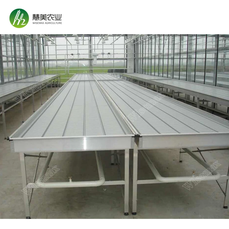 Greenhouse garden ebb and flow ebb flow rolling benches with food garde ABS