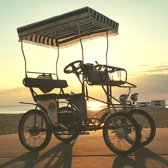 Free Tariff Discount Price Family Fun Bike Two Person Pedal Car Four Wheel Surrey Bike